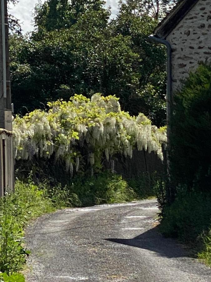 Le Moulin Bleu Saint Cyr-sous-Dourdan Exterior foto
